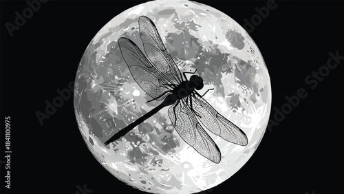 Silhouette of Dragonfly Against Full Moon with Detailed Wings and Crater Texture Representing Nature, Mystery, and Celestial Contrast Theme