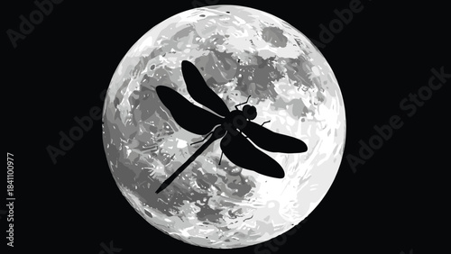 Silhouette of Dragonfly Flying Across Full Moon with Crater Texture Representing Nature, Mystery, and Celestial Contrast in Night Sky