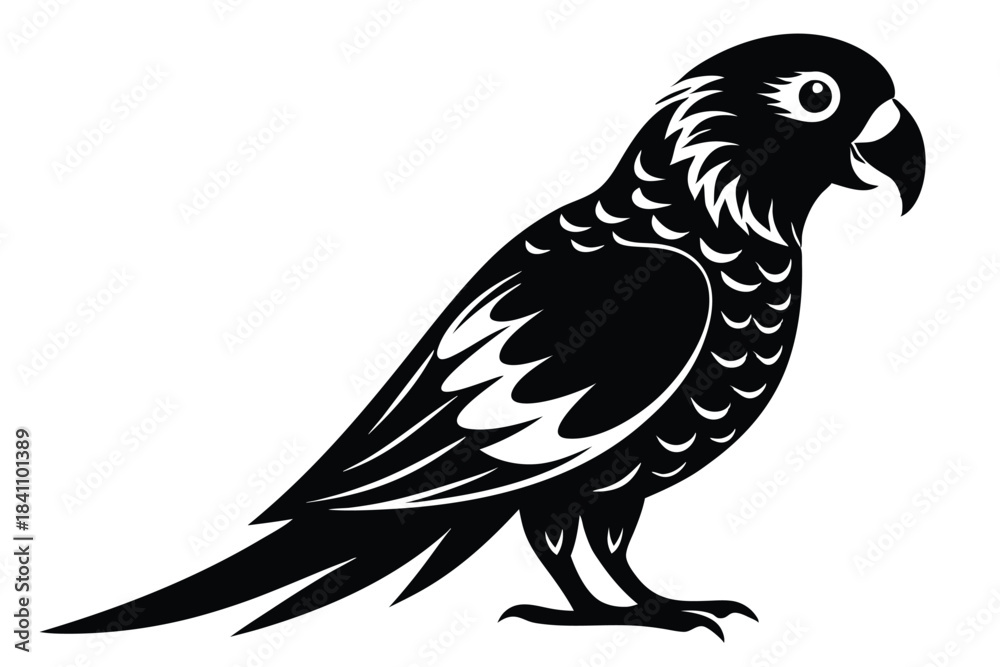 Fototapeta premium lorikeet silhouette line art vector illustration with a white background