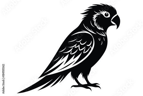 lorikeet silhouette line art vector illustration with a white background