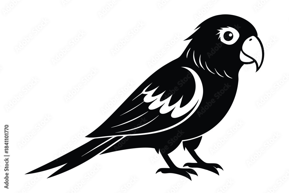 Fototapeta premium lorikeet silhouette line art vector illustration with a white background