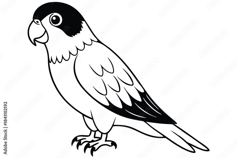 Obraz premium lorikeet silhouette line art vector illustration with a white background