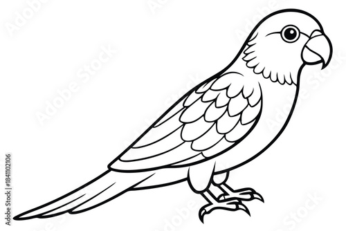 lorikeet silhouette line art vector illustration with a white background