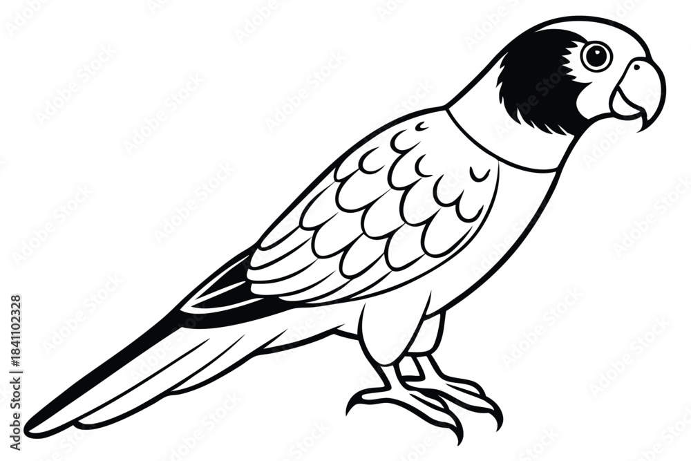 Obraz premium lorikeet silhouette line art vector illustration with a white background