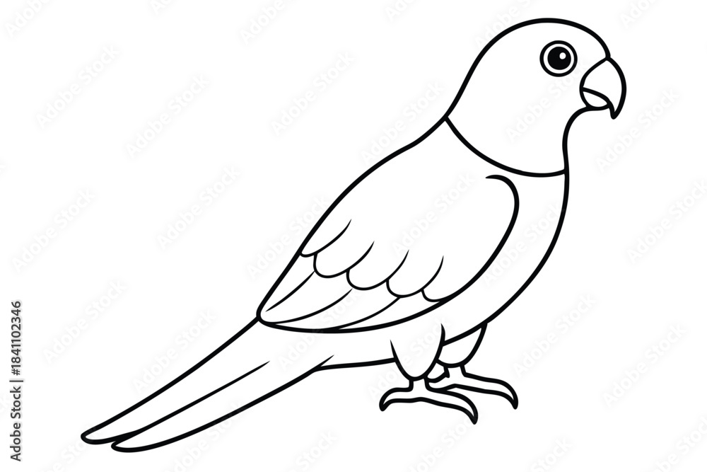 Obraz premium lorikeet silhouette line art vector illustration with a white background