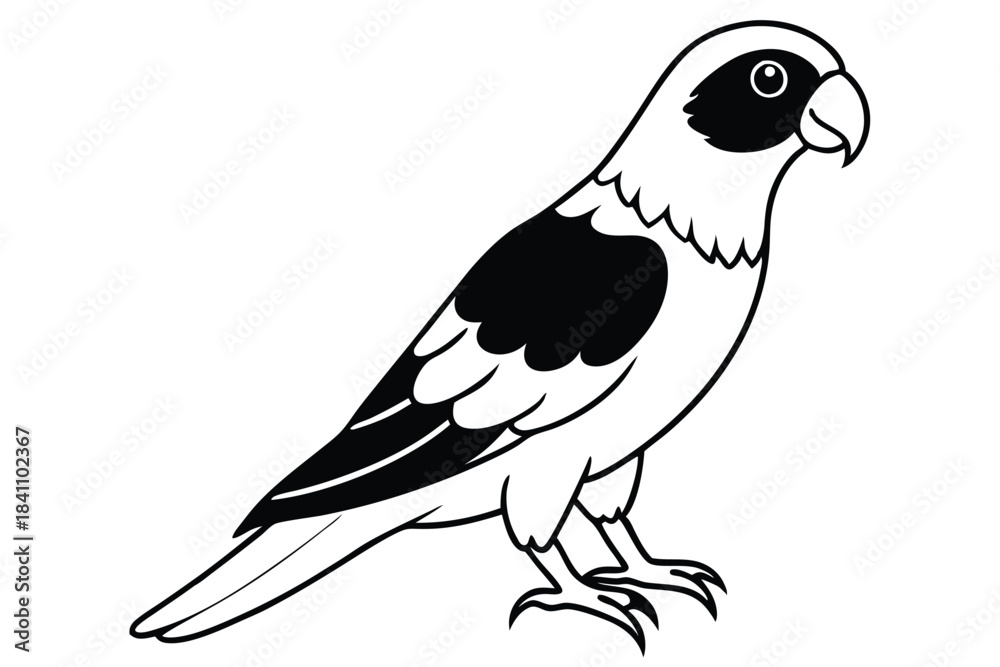 Obraz premium lorikeet silhouette line art vector illustration with a white background