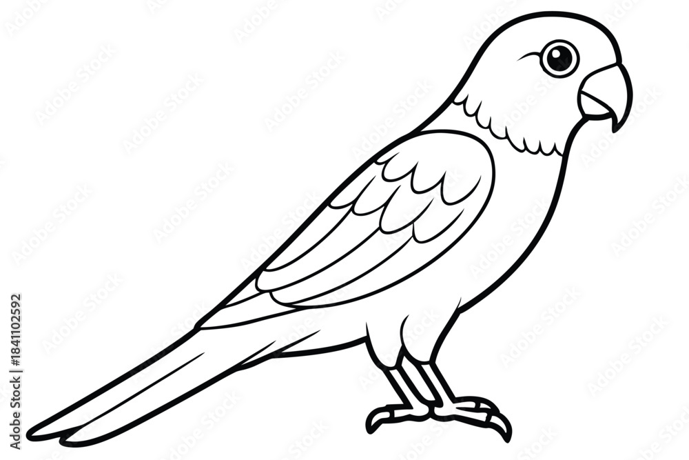 Obraz premium lorikeet silhouette line art vector illustration with a white background