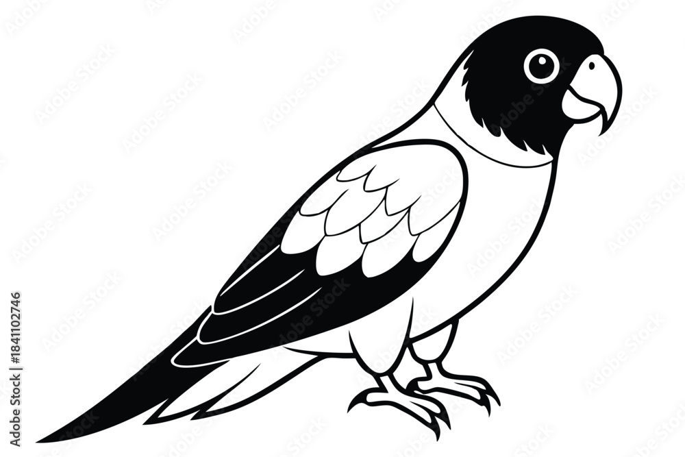 Obraz premium lorikeet silhouette line art vector illustration with a white background