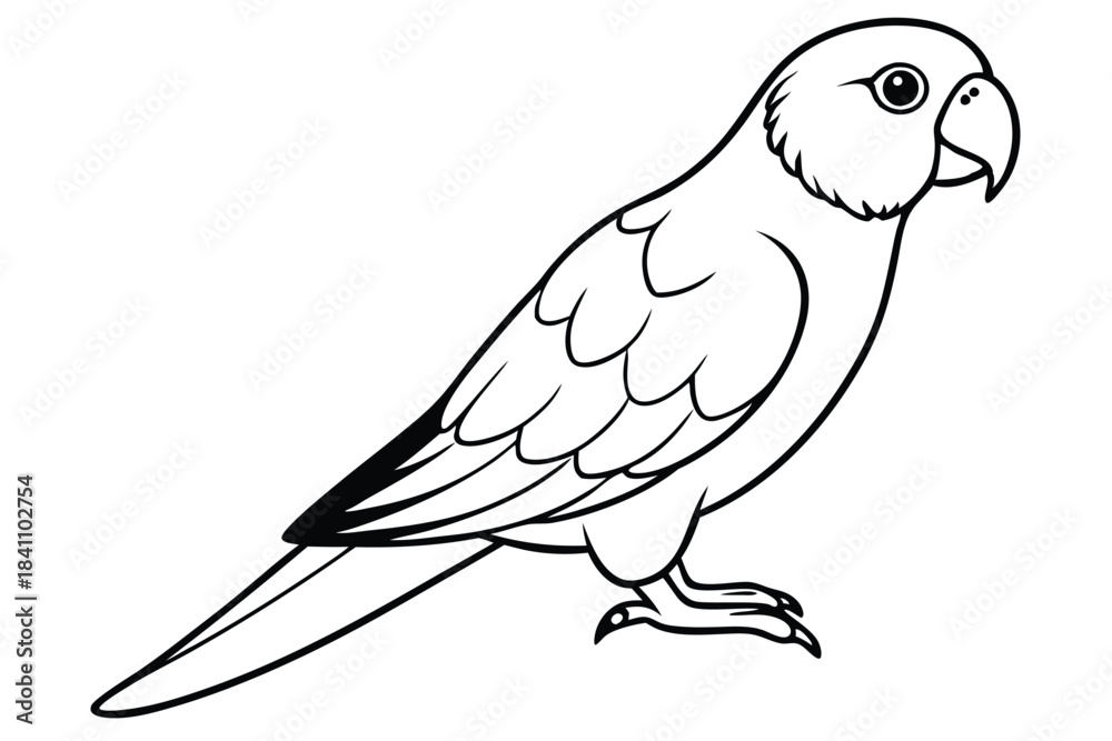 Obraz premium lorikeet silhouette line art vector illustration with a white background