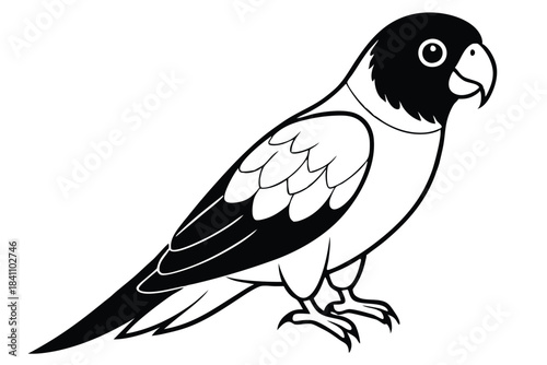lorikeet silhouette line art vector illustration with a white background