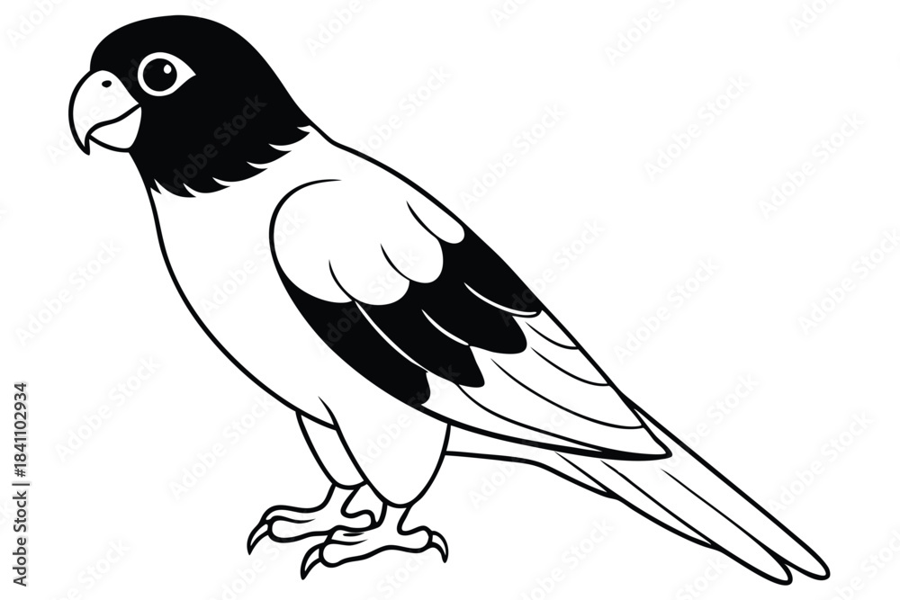 Obraz premium lorikeet silhouette line art vector illustration with a white background