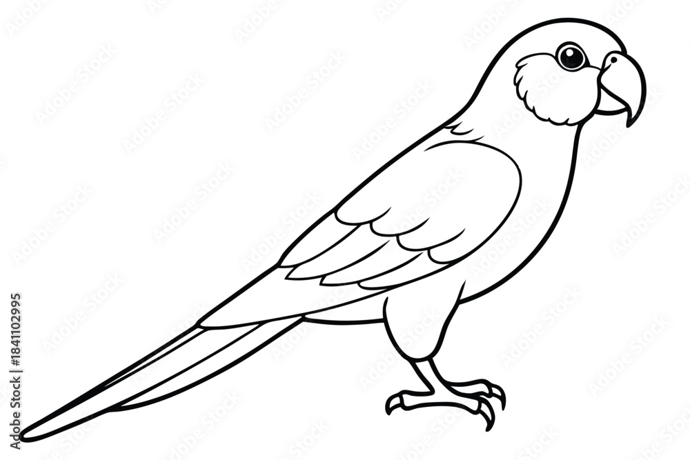 Obraz premium lorikeet silhouette line art vector illustration with a white background