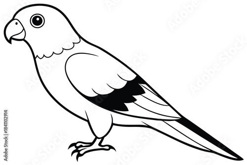 lorikeet silhouette line art vector illustration with a white background