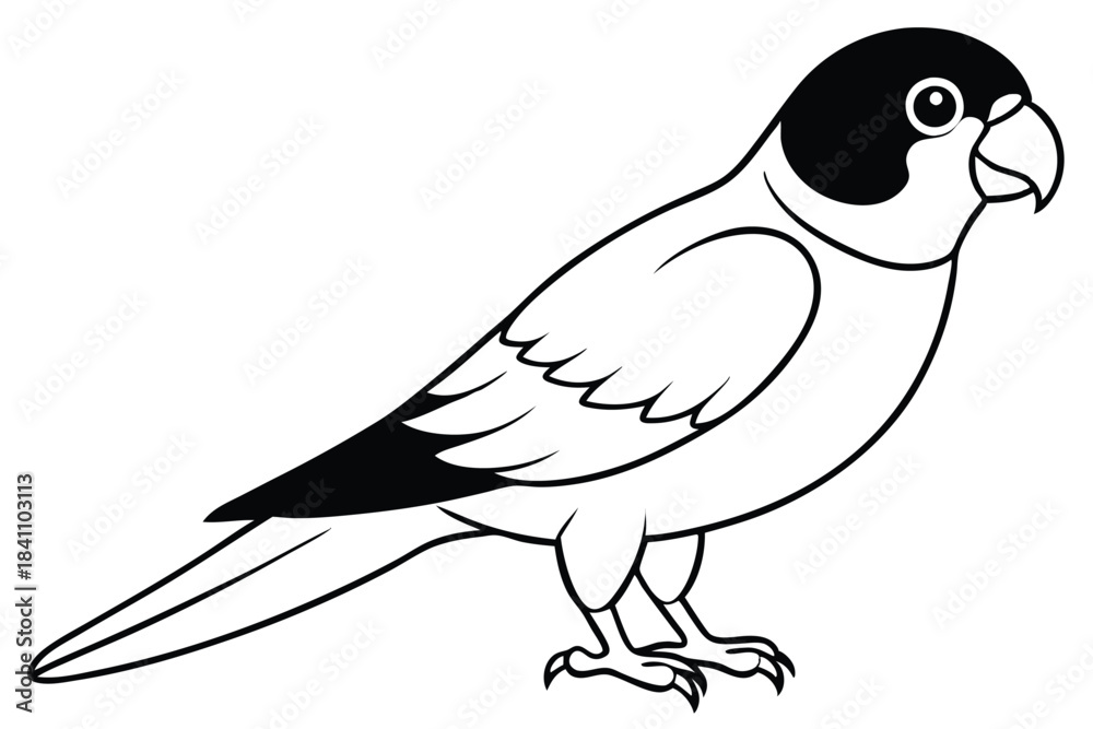 Obraz premium lorikeet silhouette line art vector illustration with a white background