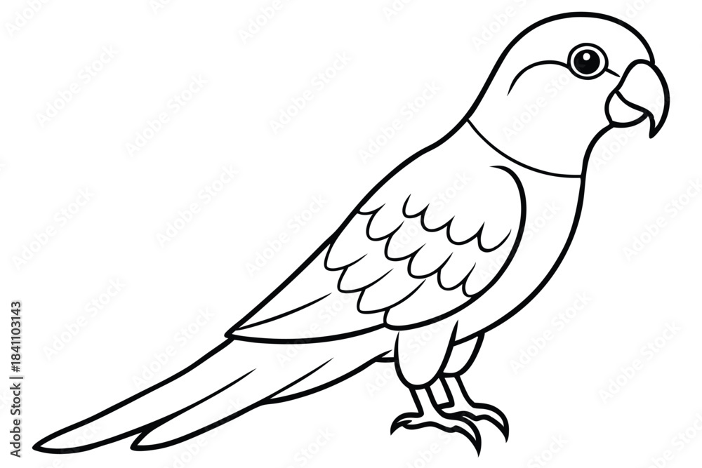 Obraz premium lorikeet silhouette line art vector illustration with a white background
