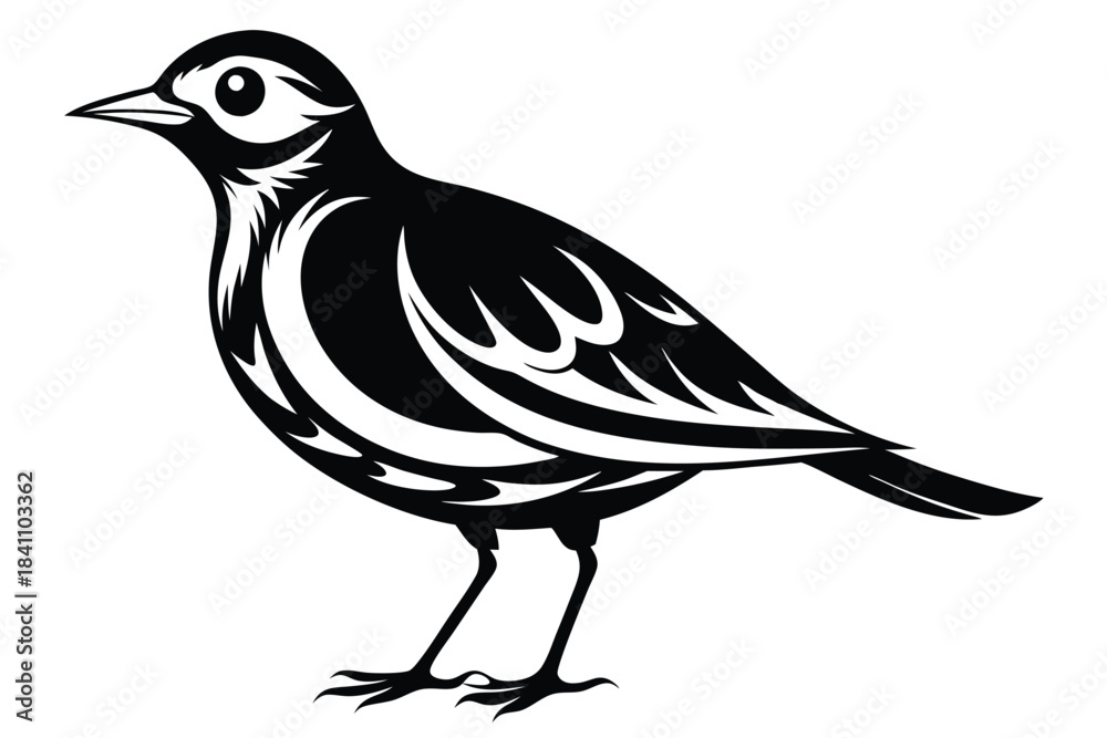 Obraz premium lark silhouette line art vector illustration with a white background