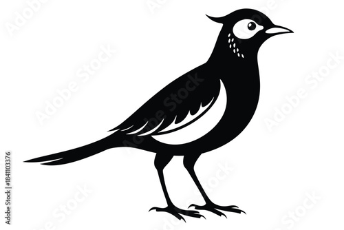 lark silhouette line art vector illustration with a white background