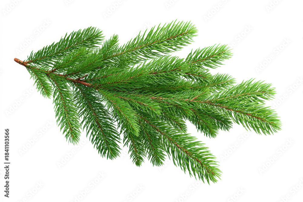 Naklejka premium Christmas tree branch isolated on white background