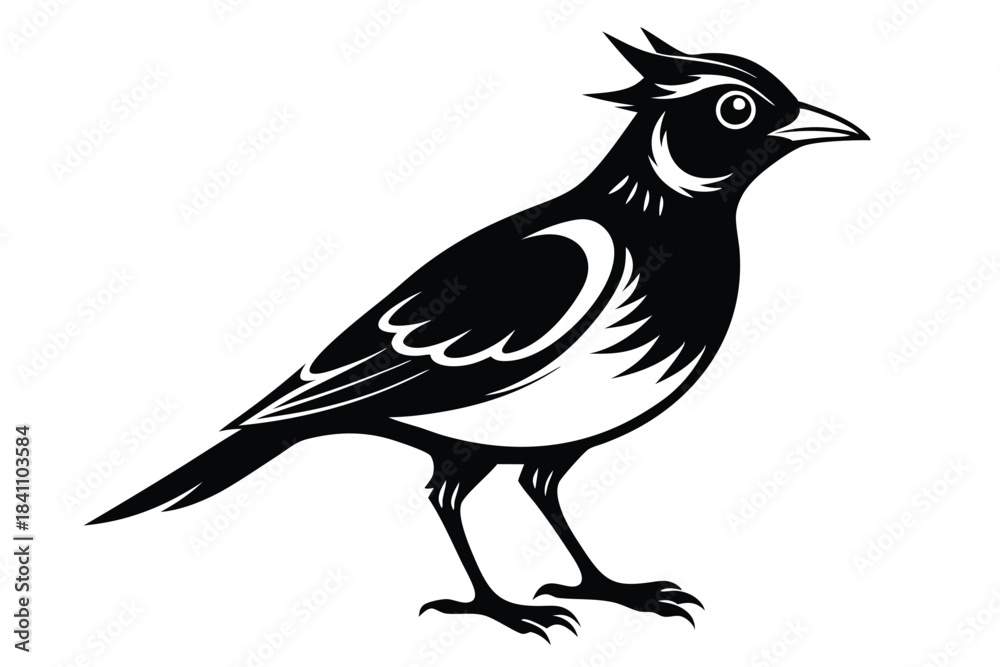 Obraz premium lark silhouette line art vector illustration with a white background
