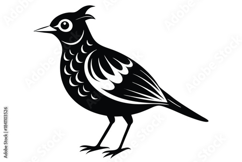 lark silhouette line art vector illustration with a white background