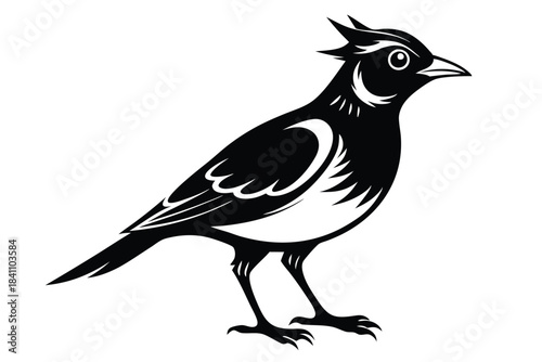 lark silhouette line art vector illustration with a white background