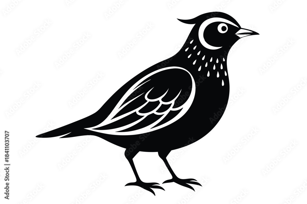 Obraz premium lark silhouette line art vector illustration with a white background
