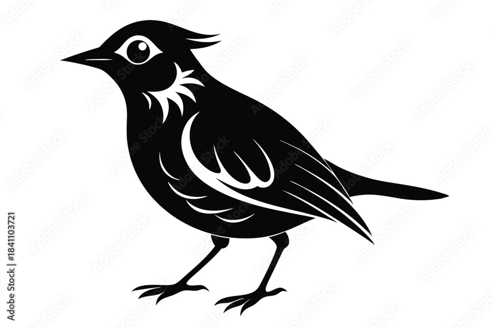 Obraz premium lark silhouette line art vector illustration with a white background