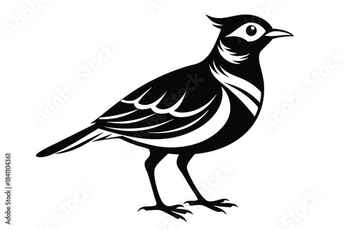 lark silhouette line art vector illustration with a white background