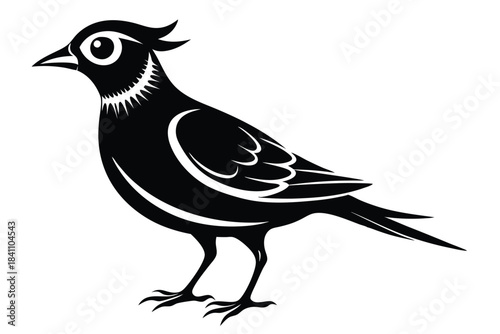 lark silhouette line art vector illustration with a white background