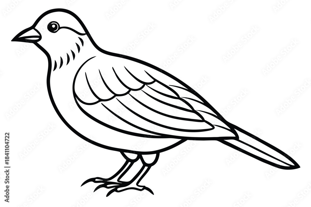 Obraz premium lark silhouette line art vector illustration with a white background