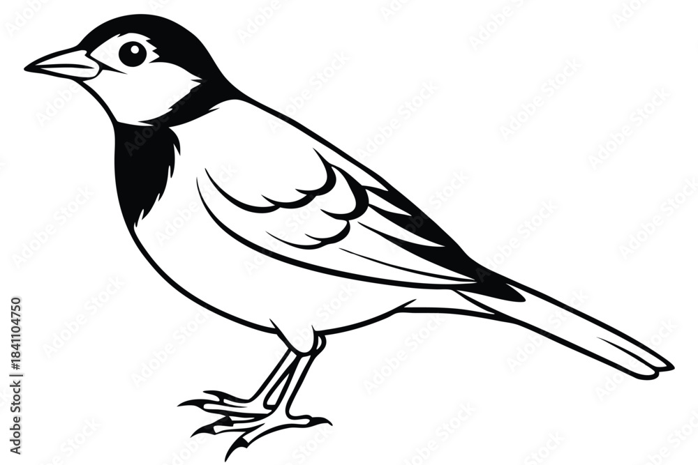 Obraz premium lark silhouette line art vector illustration with a white background