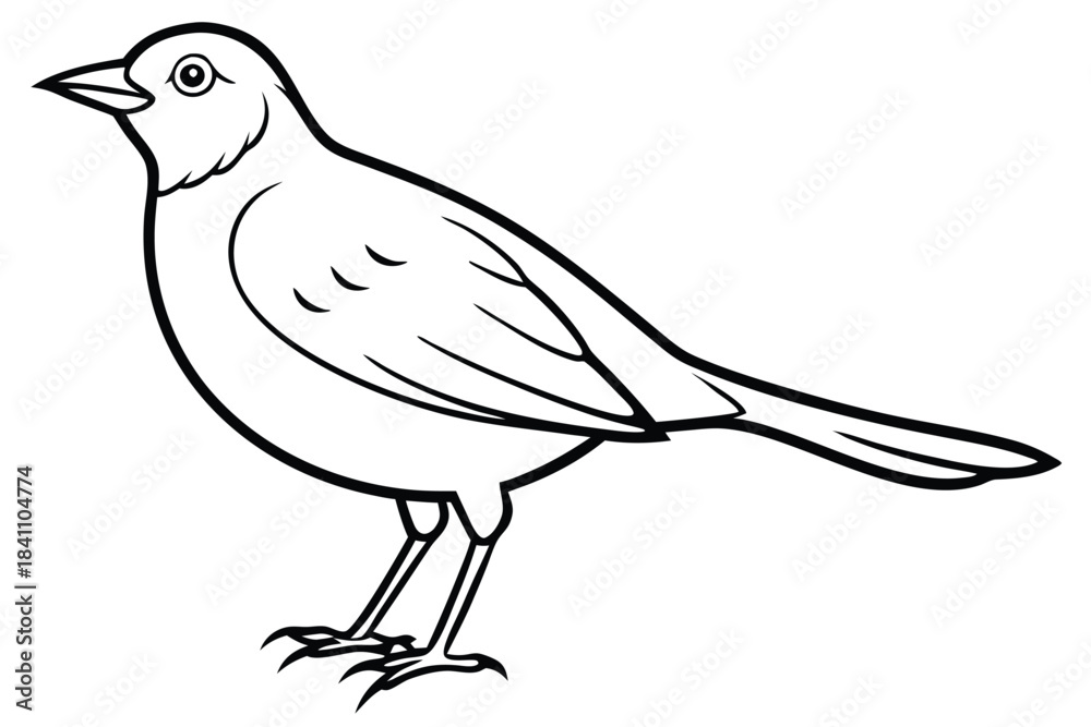 Obraz premium lark silhouette line art vector illustration with a white background
