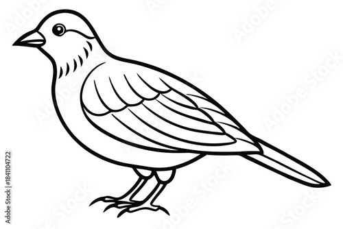 lark silhouette line art vector illustration with a white background