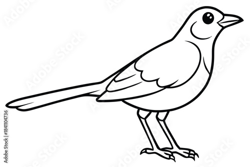 lark silhouette line art vector illustration with a white background