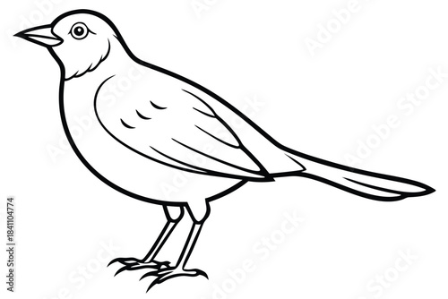 lark silhouette line art vector illustration with a white background
