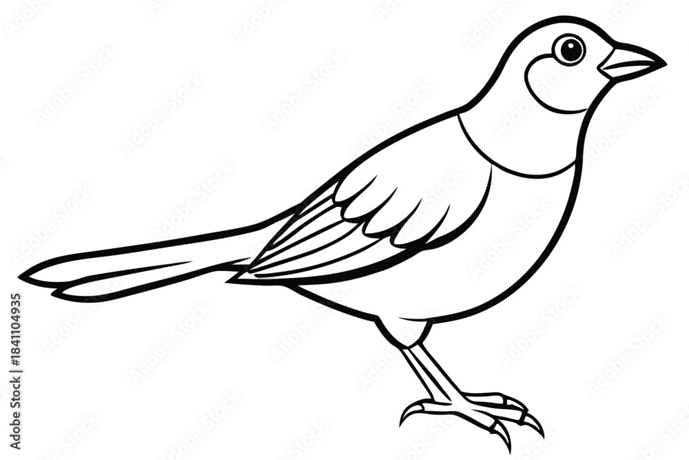 Obraz premium lark silhouette line art vector illustration with a white background