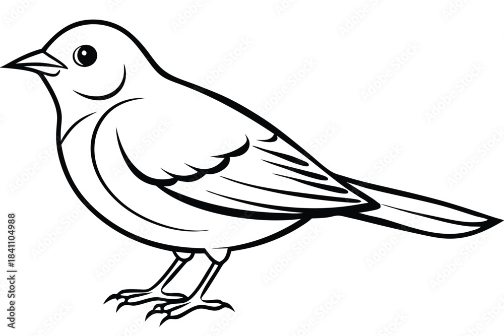 Obraz premium lark silhouette line art vector illustration with a white background