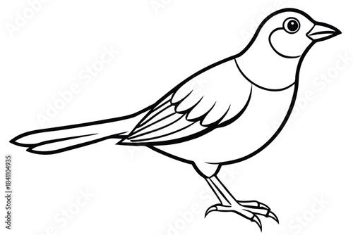 lark silhouette line art vector illustration with a white background