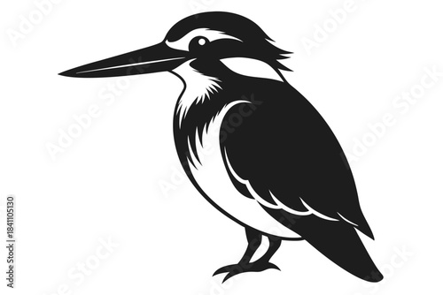 kingfisher silhouette line art vector illustration with a white background