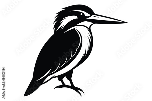 kingfisher silhouette line art vector illustration with a white background