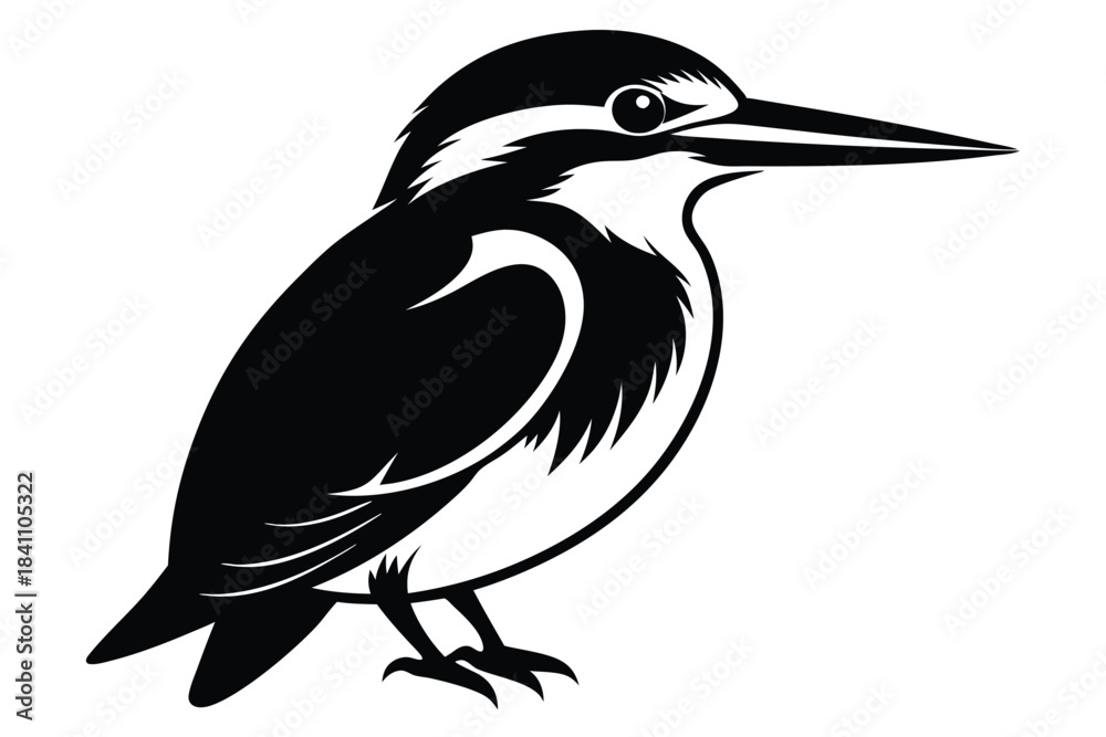 Fototapeta premium kingfisher silhouette line art vector illustration with a white background