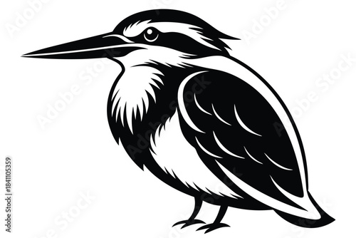 kingfisher silhouette line art vector illustration with a white background