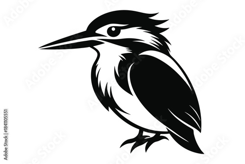 kingfisher silhouette line art vector illustration with a white background