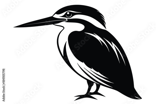 kingfisher silhouette line art vector illustration with a white background