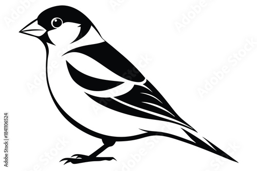 goldfinch silhouette line art vector illustration with a white background