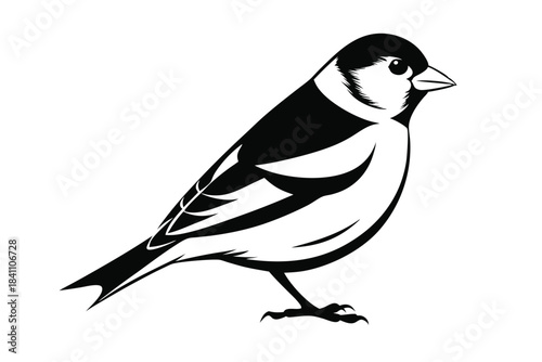 goldfinch silhouette line art vector illustration with a white background