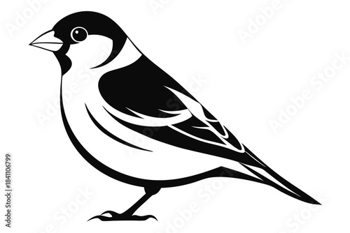 goldfinch silhouette line art vector illustration with a white background