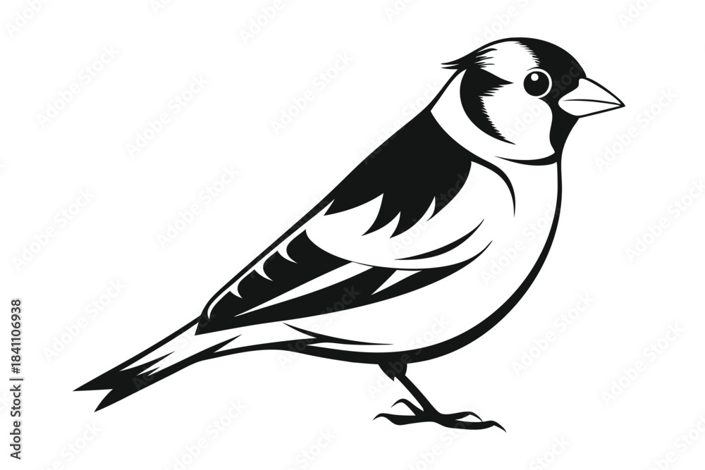 Obraz premium goldfinch silhouette line art vector illustration with a white background