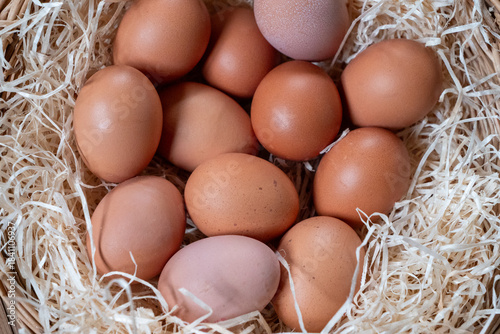 Basket of eggs with a white background