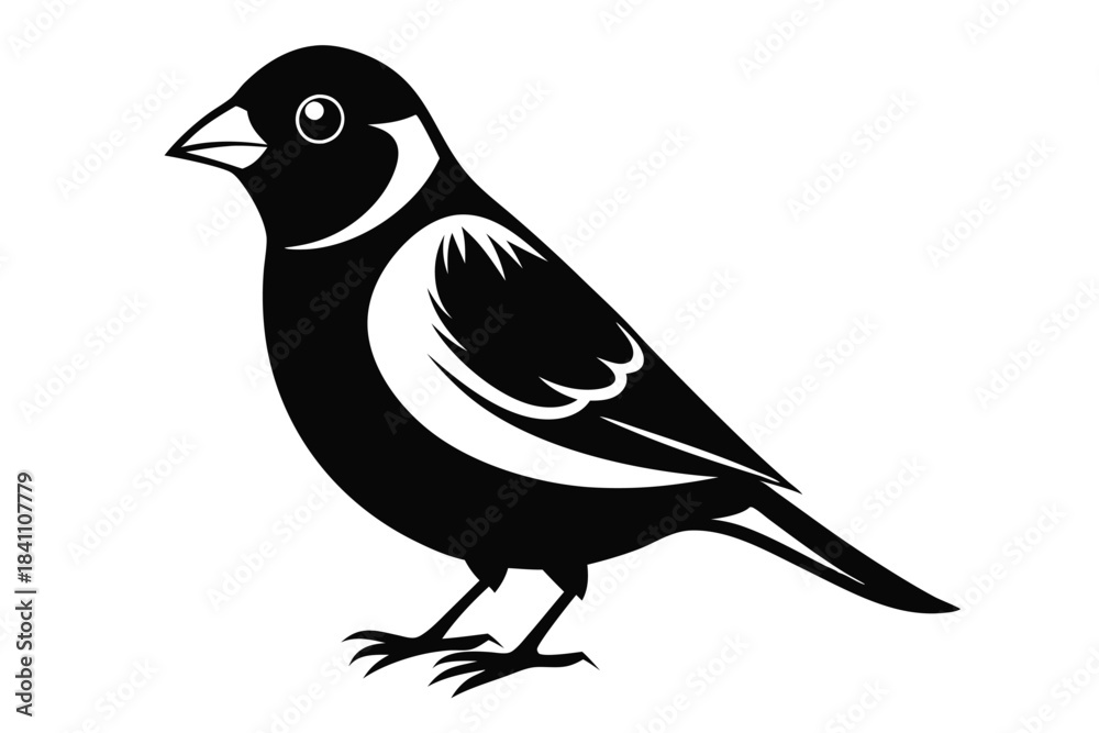 Obraz premium finch silhouette line art vector illustration with a white background
